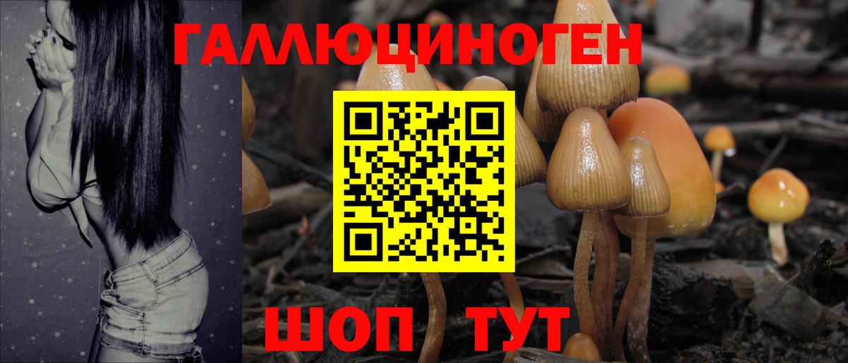 Псилоцибиновые грибы Psilocybe  Псилоцибиновые грибы мицелий  даркнет сайт  Вход с VPN  Кингисепп 